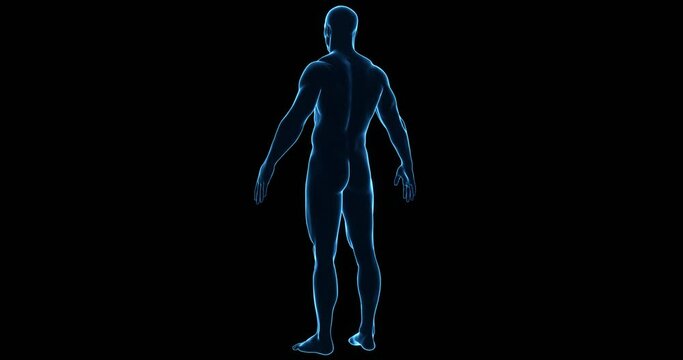 3D Male Hologram Spinning Loop Animation on Black Background