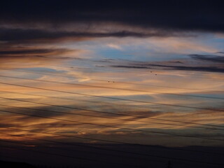 オレンジ色に染まる雲が浮かぶ青空と夕焼けの境目に伸びる電線