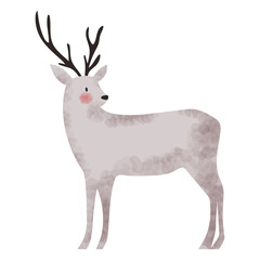 deer winter animal