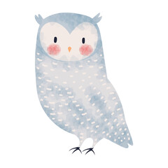 owl winter animal