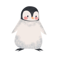penguin winter animal