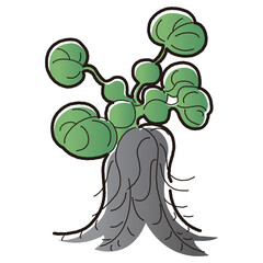 ホテイソウのイラスト（水草）