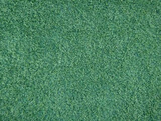 golf grass, perfect graphic structure as a graphic background, playing golf on perfect green grass - obrazy, fototapety, plakaty