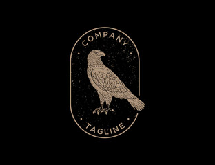 Vintage eagle logo template ilustration vector