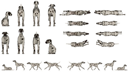 3D High Poly Dogs - SET1 Color - Parallel Views