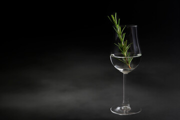Beautiful glass of gin with green rosemary against black, foggy background. Low light photo shot. Copy space for your design. Web banner.
