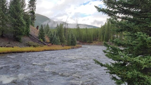 Firehole River in Yellowstone National Park Wyoming