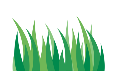 grass banner illustration