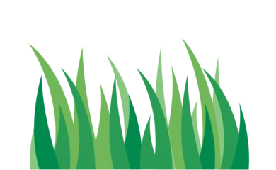 Foto auf Acrylglas Gras grass banner illustration