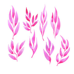 Fototapeta na wymiar Set of pink leaves collection on white background. Hand drawn watercolor illustration.