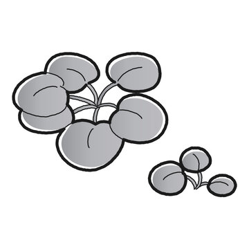 recommend clip art: （白黒）フロッグピッドのイラスト（水草）
