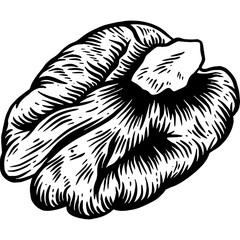 Hand drawn Pecan Nut Sketch Illustration