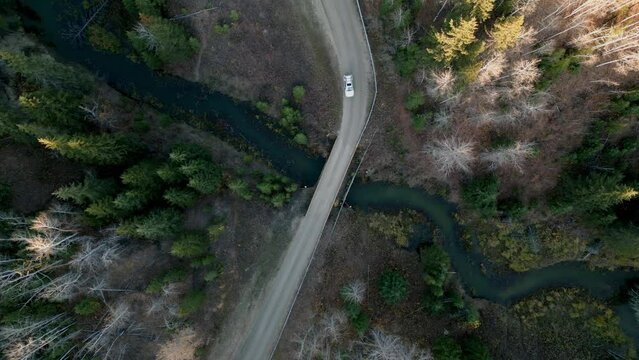 Aerial view of a car driving over a bridge in a forest, Edmonton, Alberta, Canada