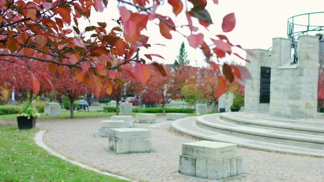 Pan right shot of the little park in Marda Loop, Calgary in fall