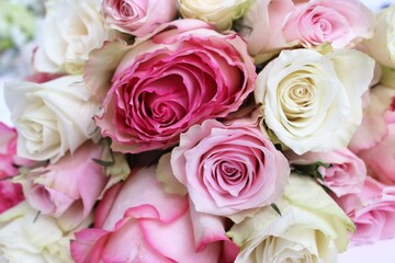 Solid background of rose flowers. Festive flower arrangement. Background for a greeting card.