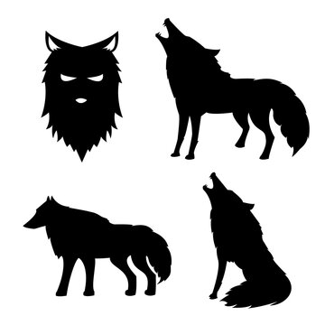 The silhouette of a wolf in various postures. wolves set. Vector illustration.