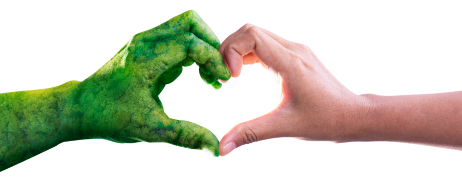 Environment earth day, Heart shaped by nature hands and female on nature background, Loving the environment, Forest conservation concept, Ecology and Nature concept.