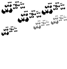 Halloween bat blackground
