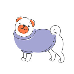 Dog in winter clothes. Trendy cute pet dog in jacket. Vector illustration isolated on white background