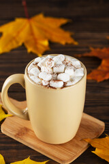 Hot cocoa with marshmallows in a mug on a wooden board with autumn leaves.