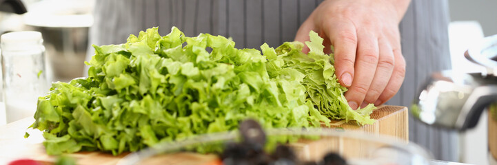 Chef hands cutting green fresh lettuce ingredient, person chopping greens with sharp knife