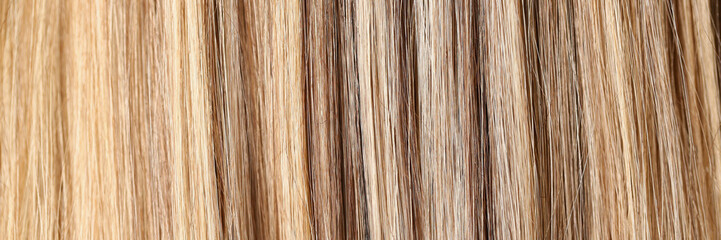Female hair after highlighting procedure in beauty salon, shiny shades of blonde