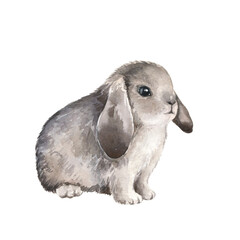 Cute gray rabbit watercolor illustration. Easter bunny. Hand painted art isolated on white background. Fluffy animal, pet. Element for decorative kids design