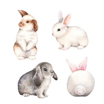Cute rabbit watercolor illustration set. Easter bunny. Hand painted art isolated on white background. Fluffy animal, pet. Element for decorative kids design
