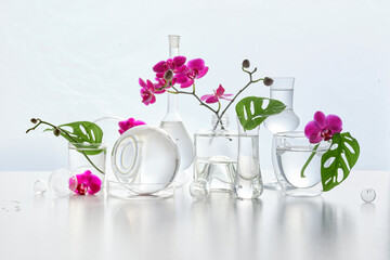 Natural laboratory. Abstract floral arrangement with magenta orchid flowers, exotic monstera leaves in transparent glass vases, jars, chemical vials. Reflections, floral elements distorted in water.