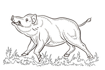 Animals. Black and white image of a large wild boar, coloring book for children.
 Vector drawing. 