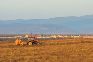 Obraz premium Beautiful rural landscape. The tractor drives across the field and collects mowed hay into stacks. In the distance are hills and a town. Agriculture in Siberia. Magadan region, Far East of Russia.