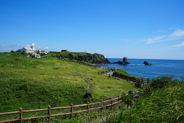 fascinating seaside pathway