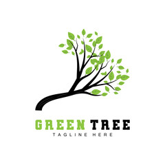 Obraz premium Green Tree Logo Design, Bonsai Tree Logo Illustration, Leaf And Wood Vector