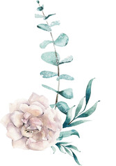 Isolated eucalyptus leaves and white rose arrangement. Cut out hand drawn PNG illustration on transparent background. Water colour clipart drawing.