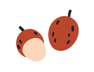 Lychee, whole and open fruit. Fresh lichi. Exotic litchi food. Tropical lichee nut with ripe flesh and peel. Flat vector illustration isolated on white background