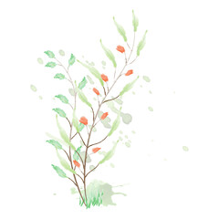 tree with red flowers illustration
