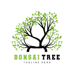 Obraz premium Green Tree Logo Design, Bonsai Tree Logo Illustration, Leaf And Wood Vector