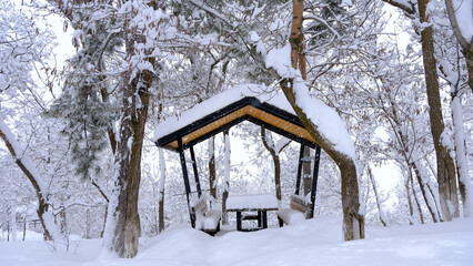 gazebo view under the snow