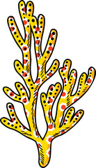 Coral Sea life element