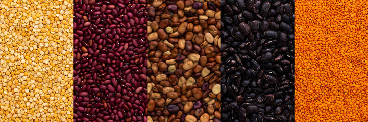 Different types of legumes banner, yellow peas and lentils, red, black and brown beans, top view