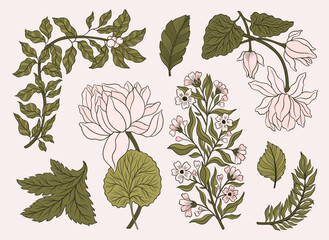 Collection vintage floral motif. William Moriss style art and craft movement. Design outline flower symbol.