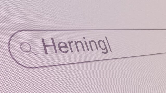 Search Bar Herning 
Close Up Single Line Typing Text Box Layout Web Database Browser Engine Concept