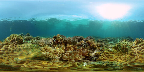 Obraz premium Coral reef underwater with fishes and marine life. Coral reef and tropical fish. Philippines. Virtual Reality 360.
