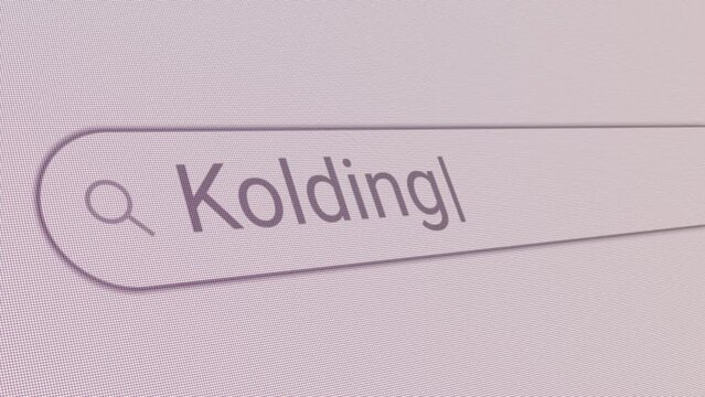 Search Bar Kolding 
Close Up Single Line Typing Text Box Layout Web Database Browser Engine Concept