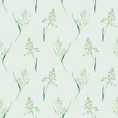 Fototapeta na wymiar Seamlesss pattern with bluegrass. Hand drawn watercolor illustration isolated on light green