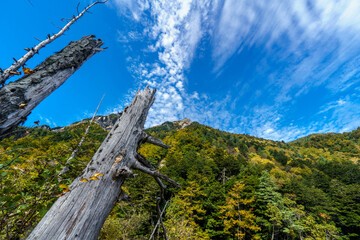 上高地の秋空と雲