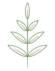 A simple twig with leaves. Outline flat style. Branch silhouette, straight trunk, easy to create vector brush. Flower illustration, plant icon. Isolated on transparent background. symmetrical pattern