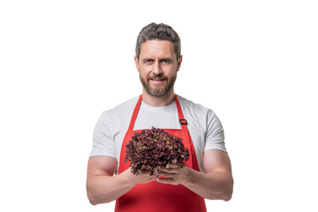 man in apron with ripe lettuce vegetable isolated on white