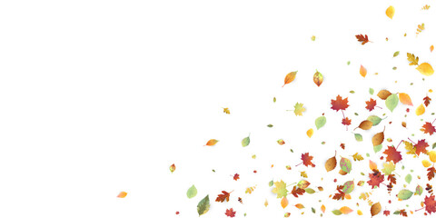 Leaves Falling Autumn Foliage Chaotic Leaf Flying