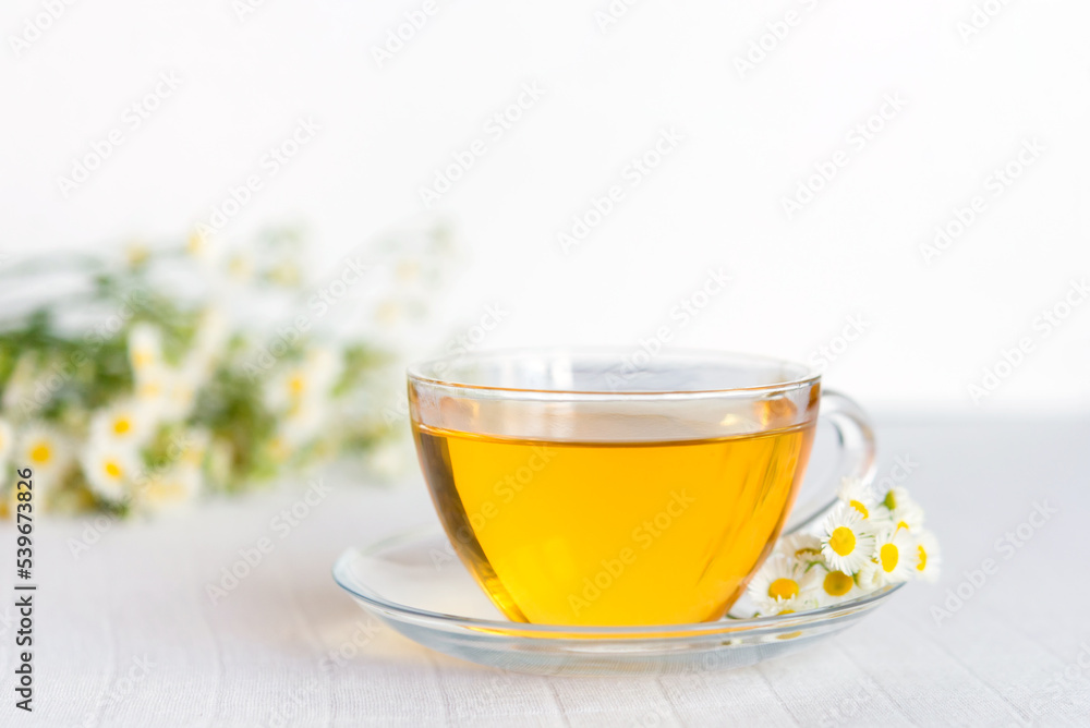 Canvas Prints cup of herbal tea with chamomile flowers	